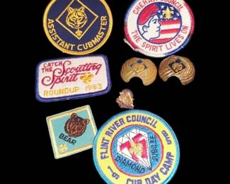 Boy Scout patches Cub Scout patches