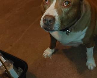 Precious Mama is it time to go?