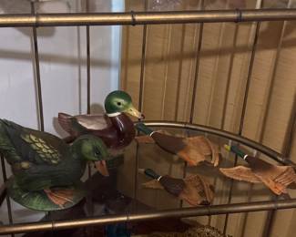 Ducks