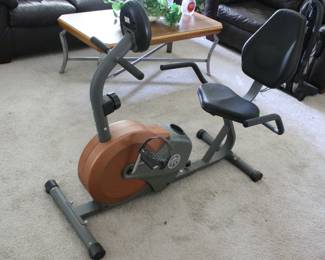 Recumbent Excersize Bike