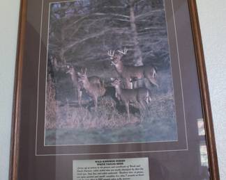 Wildlife Deer Print