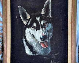 HKM039 - Portrait Of “Cognac” The Siberian Husky In Velvet