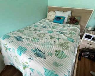 HKM051 Smart Home Smart Bed