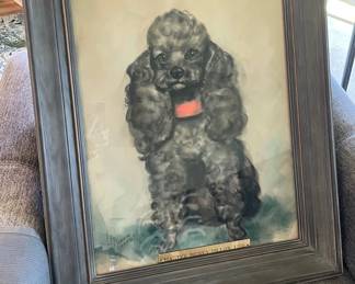 HKM031 - “Master Mickey” Portrait Of A Toy Poodle 