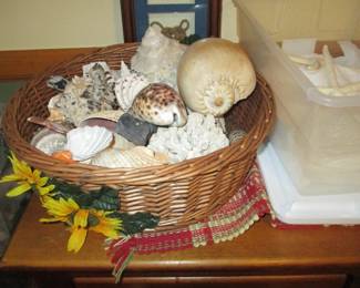 more shells
