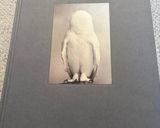 Masao Yamamoto 'Tori'