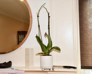 059Living Room