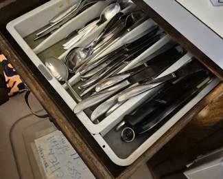 Mid Century Community Flatware