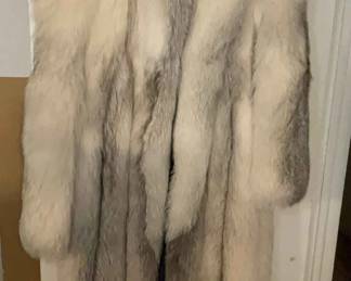 Polar Bear