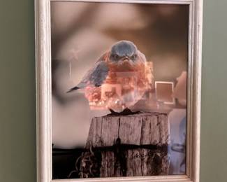 Blue Bird Artwork