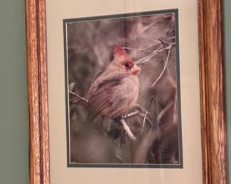 Cardinals Artwork