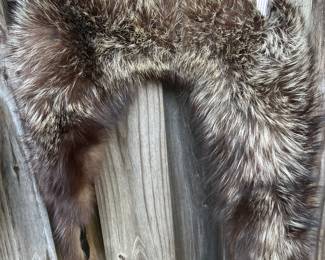 Fur Collar