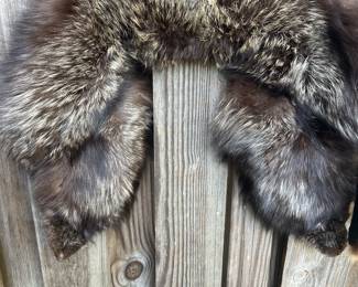 Fox Collar