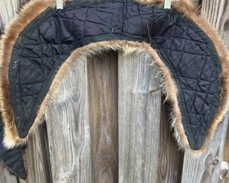 Coyote ????? Collar