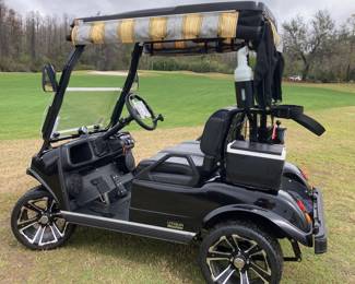 2024 Evolution golf cart with Lithium battery, rain bonnet, and accessoies