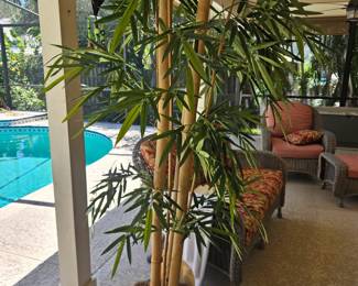 Very cool bamboo accent tree, in  ceramic planter $60