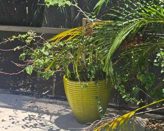 Here's the other matching planter from several photos before