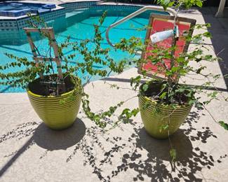Set up two heavy matching green planters $70 for both.