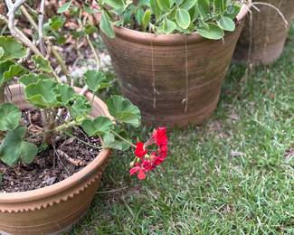 Matching garden sets