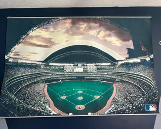 Baseball wall retractable mural.  Great for sports room or a youth bedroom. 
