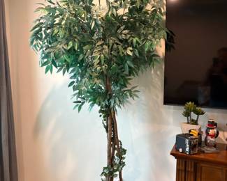 Indoor foliage