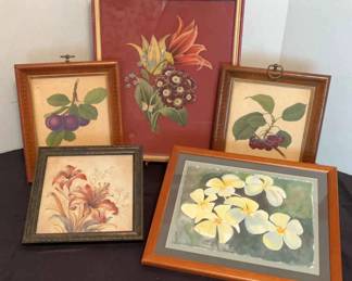 Framed Botanical prints