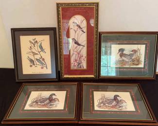Assorted Bird Art prints