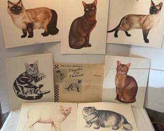 Ralston Purina Popular Cat Portraits Vintage prints