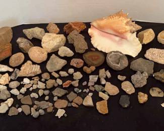 Fossil and Mineral Collection