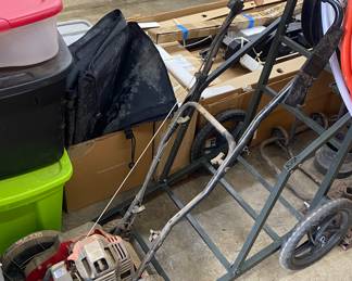 Troy Bilt Gas Lawn Edger