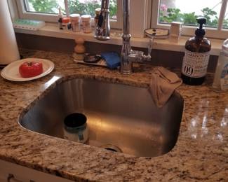 Everything including the kitchen sink