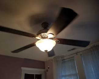 Illuminated ceiling fan