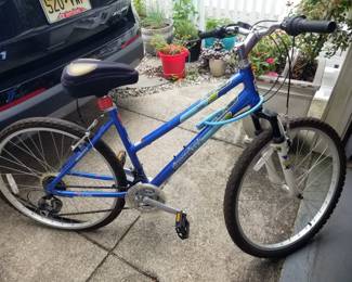 Beach bike