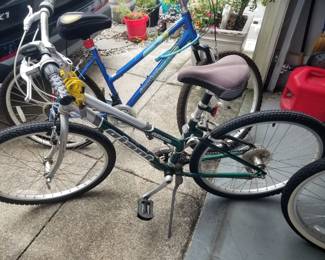 Beach bike