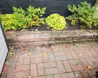 Hardscape