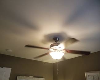 Illuminated ceiling fan