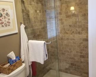 Glass shower doors - barn-style track hardware