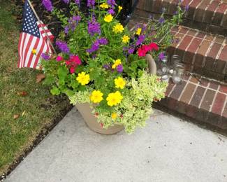 Potted plant