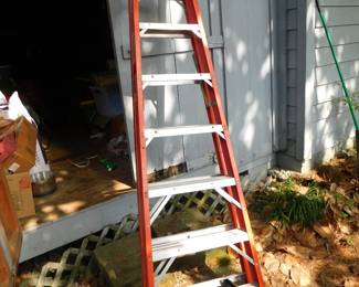 8" Werner Ladder 300Lb Capacity