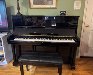 Stunning Otto Altenburg piano
