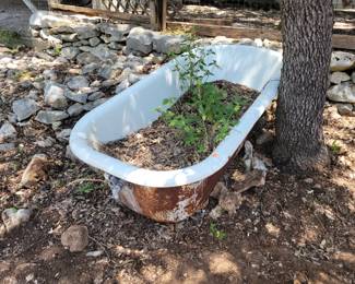 Cast iron tub planter