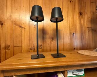 Cordless lamps