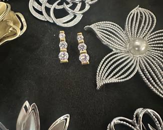 Pins and earrings