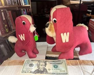 two adorable U of WI dogs