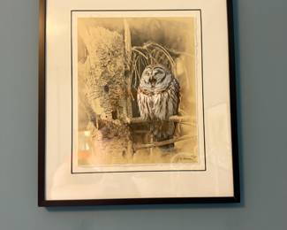 Owl Print from Local Cuyahoga Wildlife artist James Brown.  $50