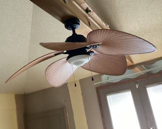 Ceiling fan