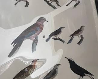 Bird Lithograph 1930's