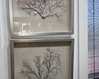Pr. Framed Coral