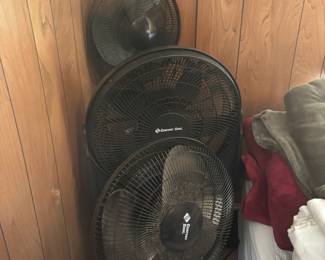 Fans