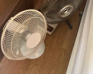 Fans